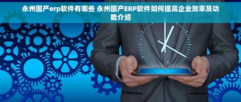 永州国产erp软件有哪些 永州国产ERP软件如何提高企业效率及功能介绍