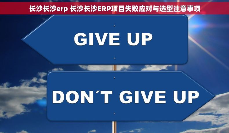 长沙长沙erp 长沙长沙ERP项目失败应对与选型注意事项
