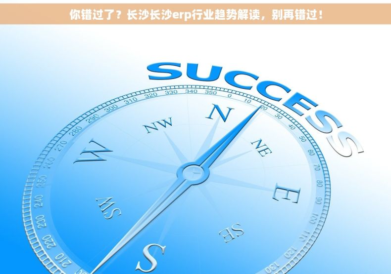 你错过了？长沙长沙erp行业趋势解读，别再错过！