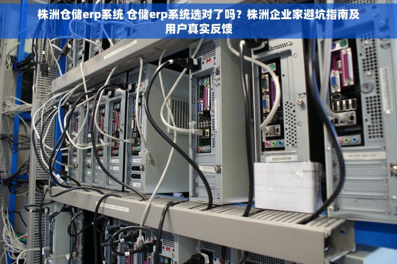 株洲仓储erp系统 仓储erp系统选对了吗？株洲企业家避坑指南及用户真实反馈