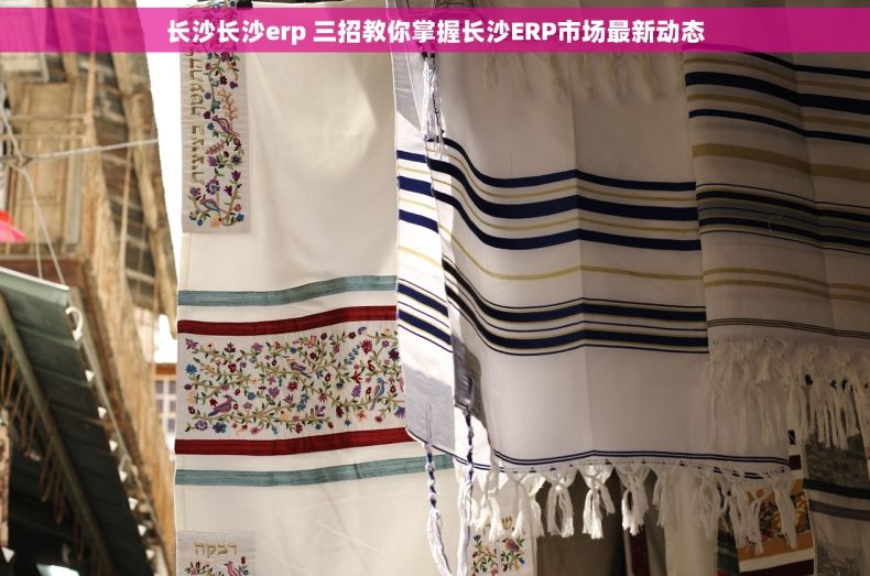 长沙长沙erp 三招教你掌握长沙ERP市场最新动态