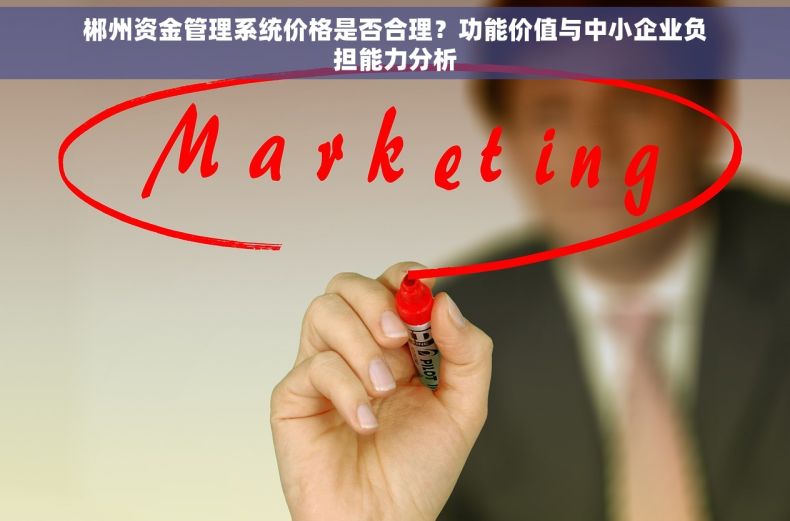 郴州资金管理系统价格是否合理？功能价值与中小企业负担能力分析