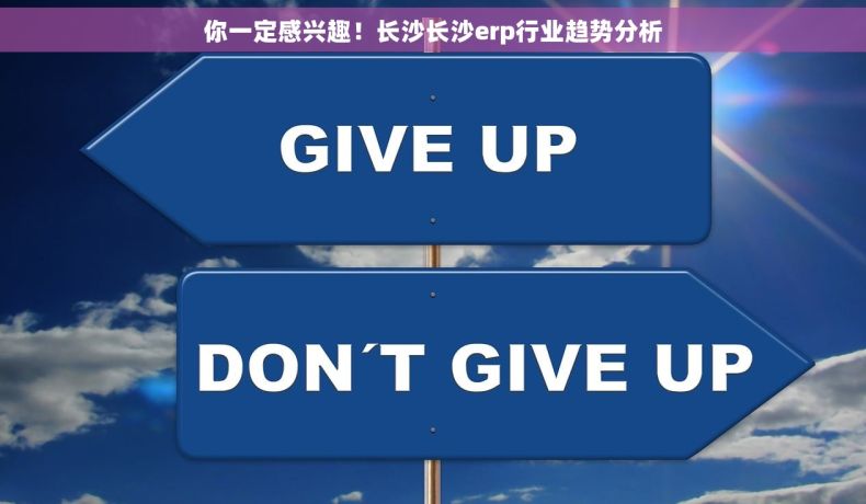 你一定感兴趣！长沙长沙erp行业趋势分析