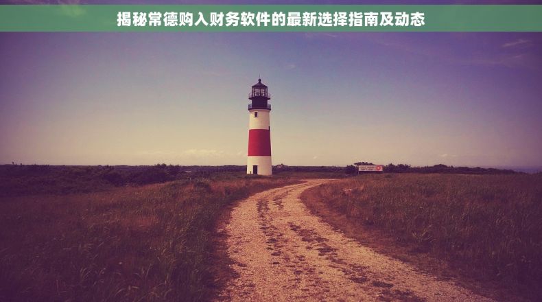 揭秘常德购入财务软件的最新选择指南及动态