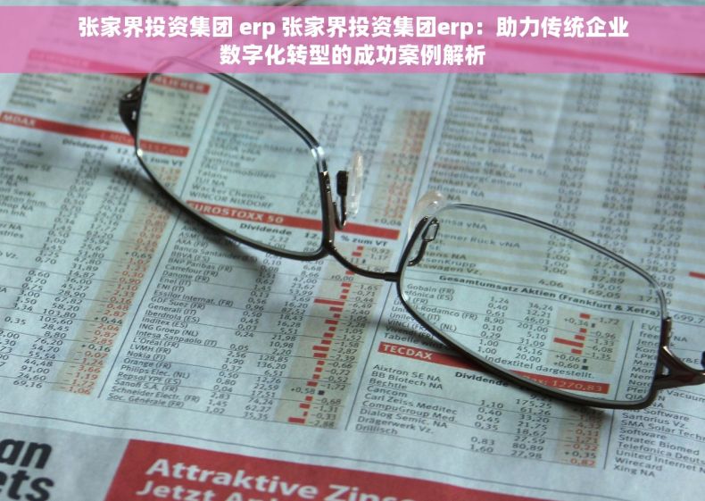 张家界投资集团 erp 张家界投资集团erp：助力传统企业数字化转型的成功案例解析