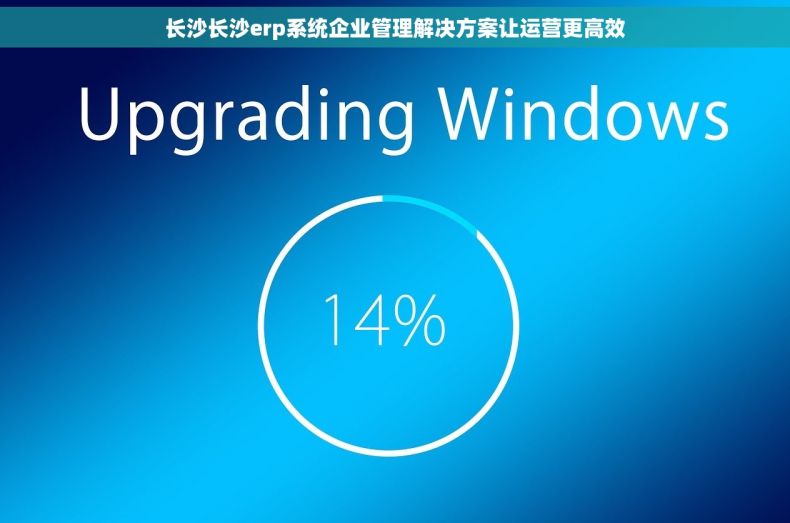 长沙长沙erp系统企业管理解决方案让运营更高效