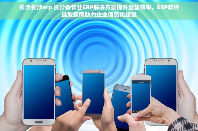 长沙长沙erp 长沙餐饮业ERP解决方案提升运营效率，ERP软件选型指南助力企业信息化建设