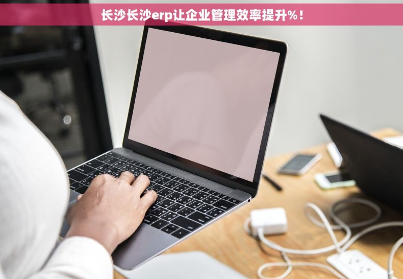 长沙长沙erp让企业管理效率提升%！
