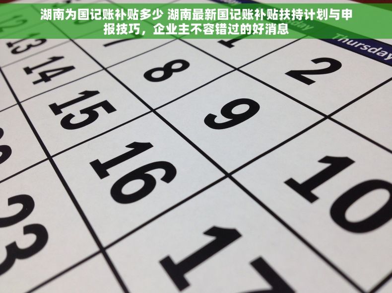 湖南为国记账补贴多少 湖南最新国记账补贴扶持计划与申报技巧，企业主不容错过的好消息