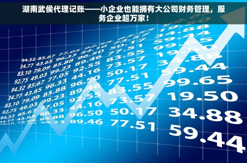 湖南武侯代理记账——小企业也能拥有大公司财务管理，服务企业超万家！