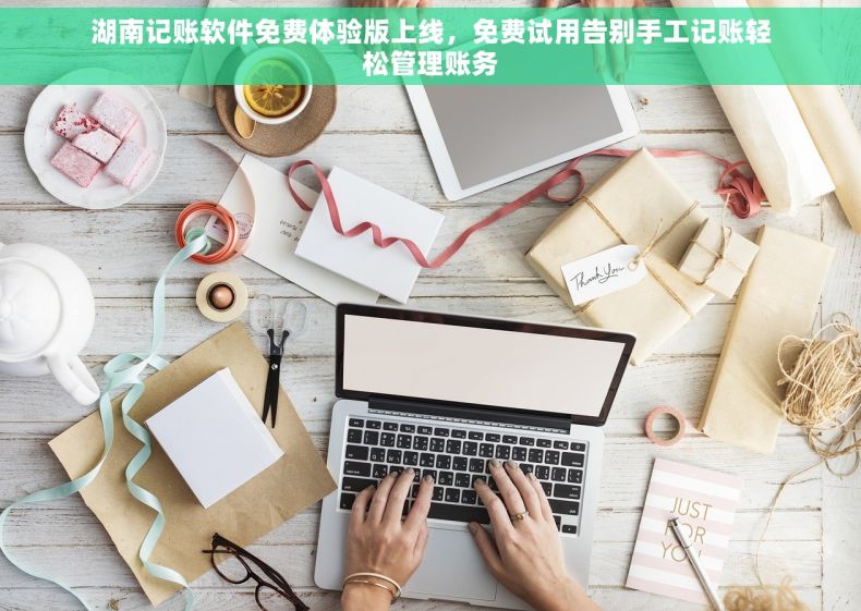 湖南记账软件免费体验版上线，免费试用告别手工记账轻松管理账务