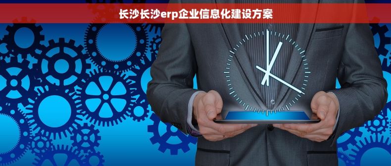 长沙长沙erp企业信息化建设方案