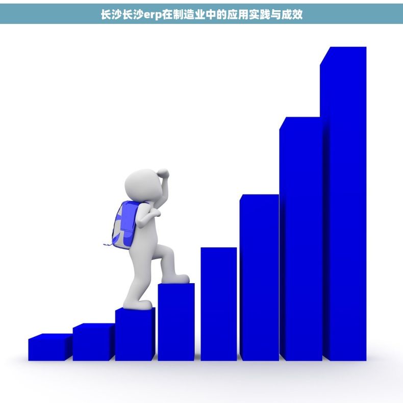 长沙长沙erp在制造业中的应用实践与成效