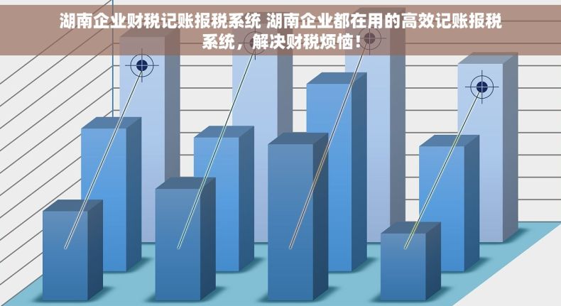 湖南企业财税记账报税系统 湖南企业都在用的高效记账报税系统，解决财税烦恼！
