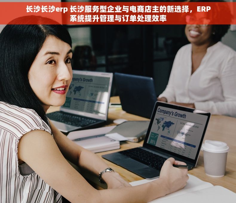 长沙长沙erp 长沙服务型企业与电商店主的新选择，ERP系统提升管理与订单处理效率