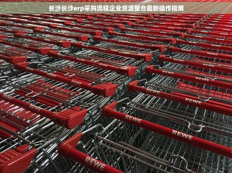 长沙长沙erp采购流程企业资源整合最新操作指南