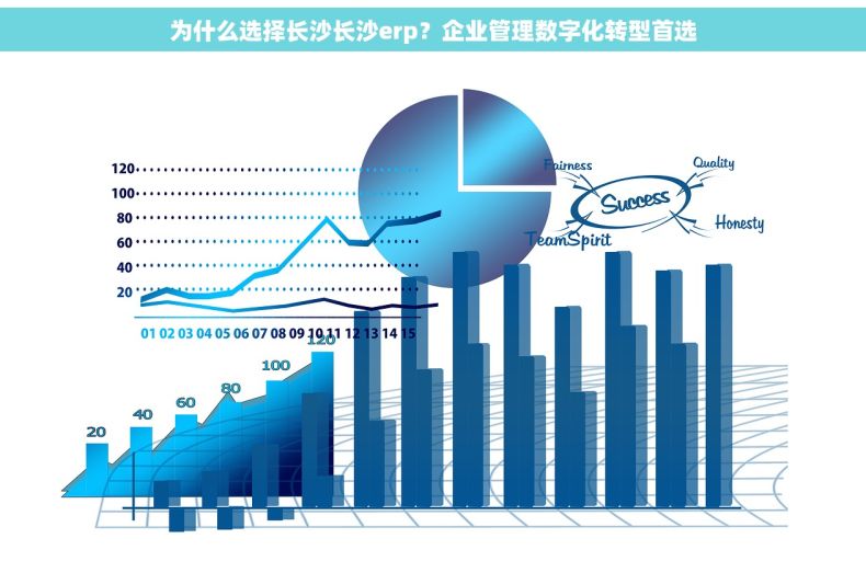 为什么选择长沙长沙erp？企业管理数字化转型首选