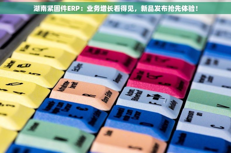 湖南紧固件ERP：业务增长看得见，新品发布抢先体验！