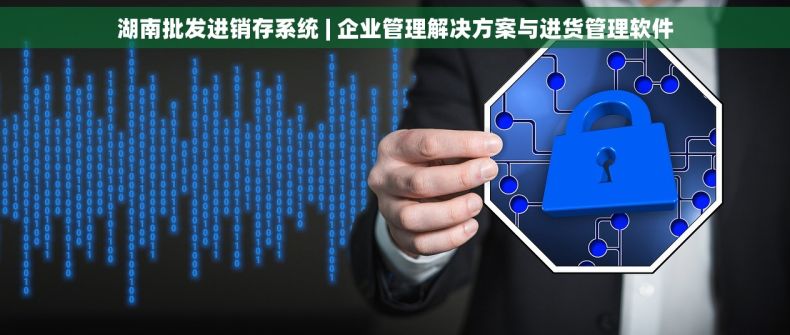 湖南批发进销存系统 | 企业管理解决方案与进货管理软件
