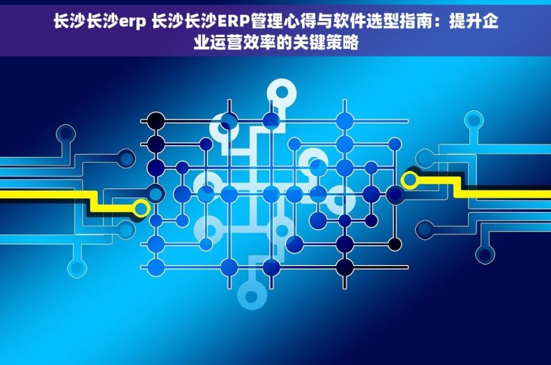 长沙长沙erp 长沙长沙ERP管理心得与软件选型指南：提升企业运营效率的关键策略