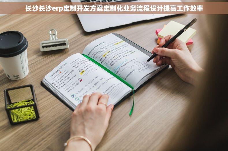 长沙长沙erp定制开发方案定制化业务流程设计提高工作效率
