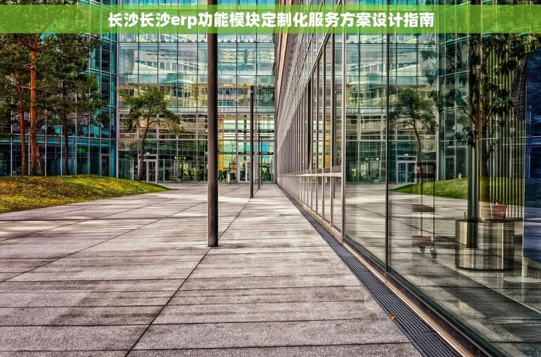 长沙长沙erp功能模块定制化服务方案设计指南