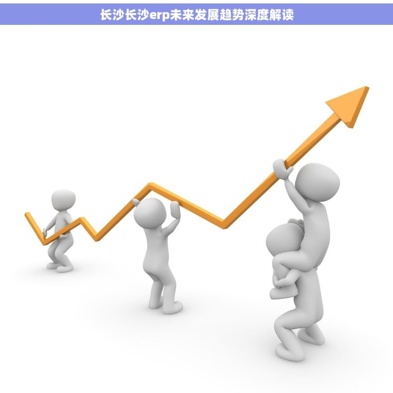 长沙长沙erp未来发展趋势深度解读