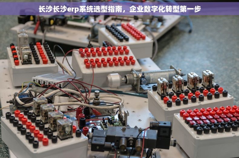 长沙长沙erp系统选型指南，企业数字化转型第一步
