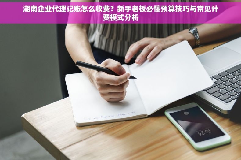 湖南企业代理记账怎么收费？新手老板必懂预算技巧与常见计费模式分析