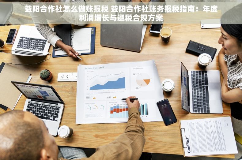 益阳合作社怎么做账报税 益阳合作社账务报税指南：年度利润增长与避税合规方案