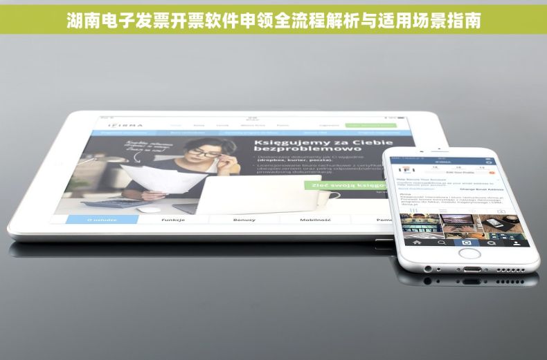湖南电子发票开票软件申领全流程解析与适用场景指南