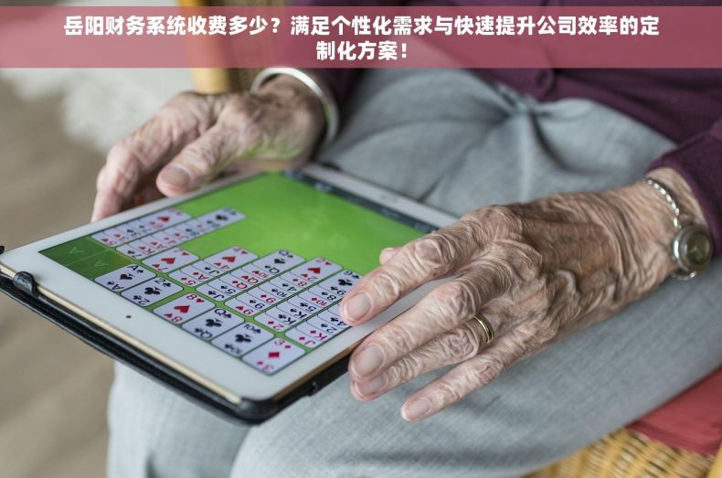 岳阳财务系统收费多少？满足个性化需求与快速提升公司效率的定制化方案！