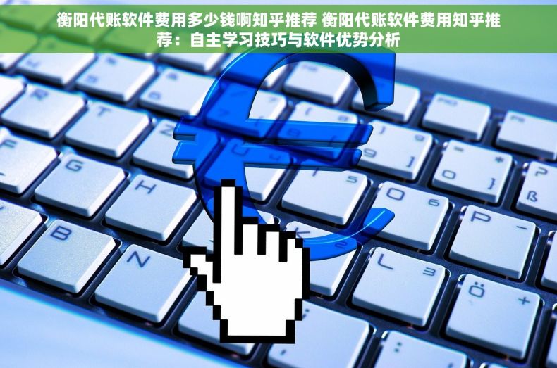衡阳代账软件费用多少钱啊知乎推荐 衡阳代账软件费用知乎推荐：自主学习技巧与软件优势分析