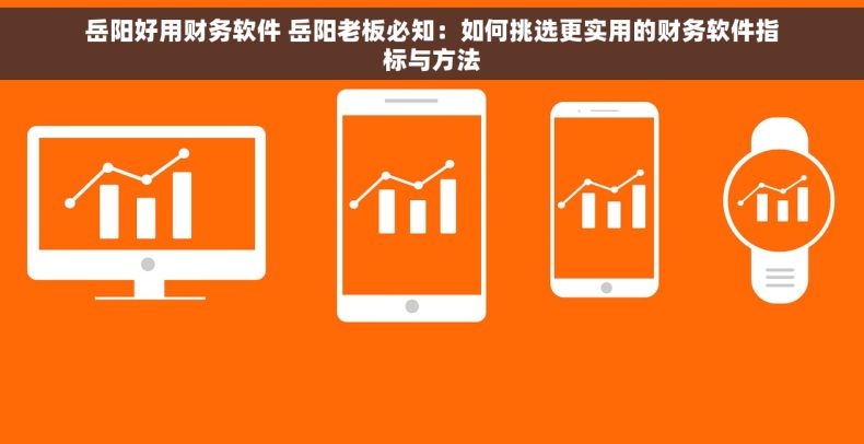 岳阳好用财务软件 岳阳老板必知：如何挑选更实用的财务软件指标与方法