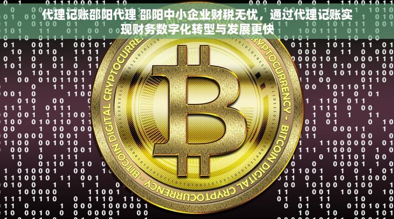 代理记账邵阳代理 邵阳中小企业财税无忧，通过代理记账实现财务数字化转型与发展更快