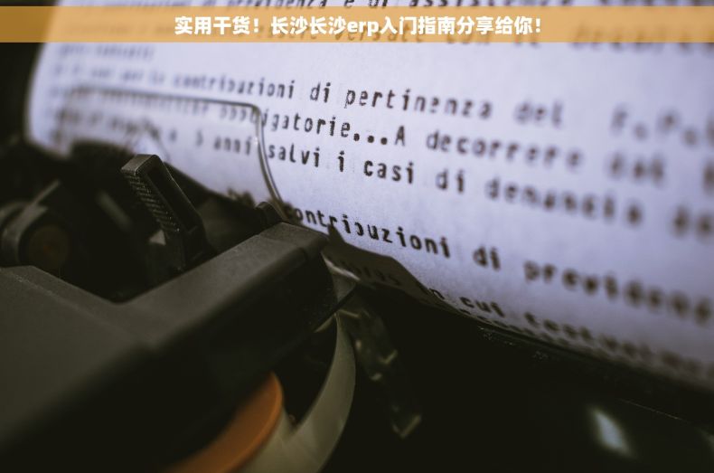 实用干货！长沙长沙erp入门指南分享给你！