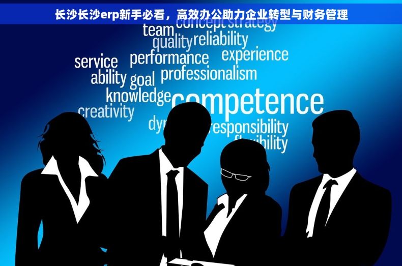 长沙长沙erp新手必看，高效办公助力企业转型与财务管理