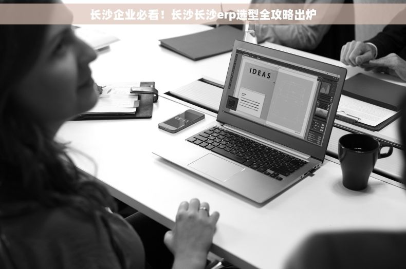 长沙企业必看！长沙长沙erp选型全攻略出炉