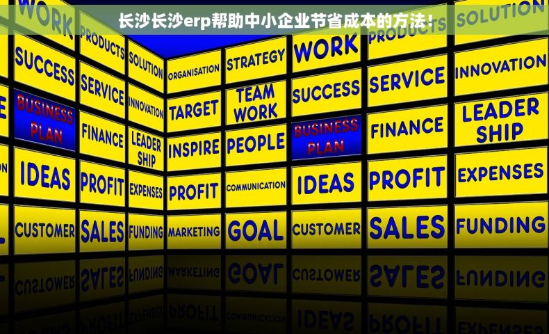 长沙长沙erp帮助中小企业节省成本的方法！