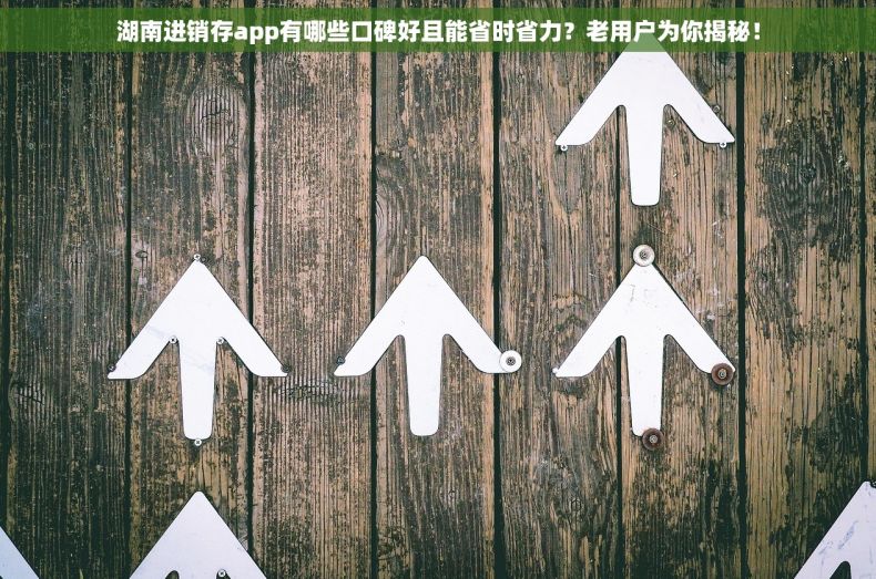 湖南进销存app有哪些口碑好且能省时省力？老用户为你揭秘！