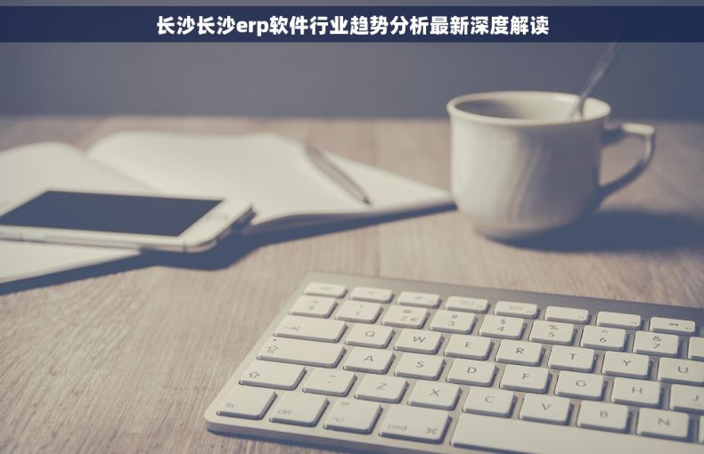 长沙长沙erp软件行业趋势分析最新深度解读