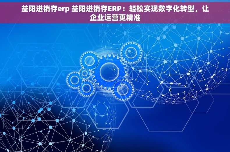 益阳进销存erp 益阳进销存ERP：轻松实现数字化转型，让企业运营更精准
