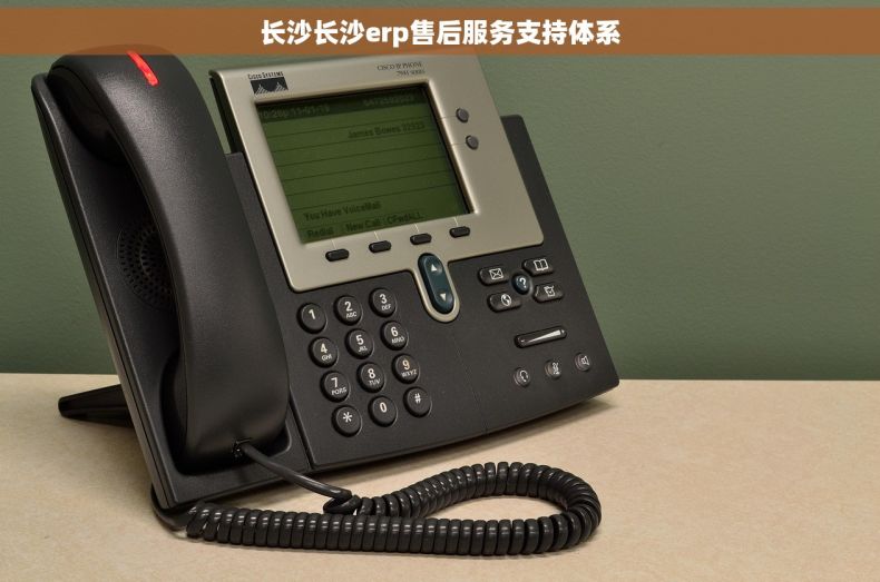 长沙长沙erp售后服务支持体系