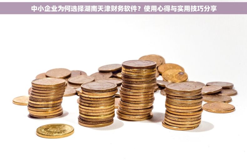 中小企业为何选择湖南天津财务软件？使用心得与实用技巧分享