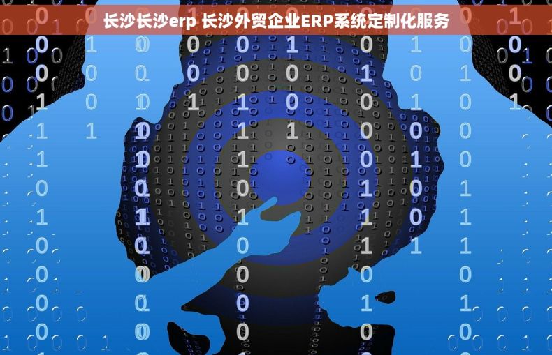 长沙长沙erp 长沙外贸企业ERP系统定制化服务