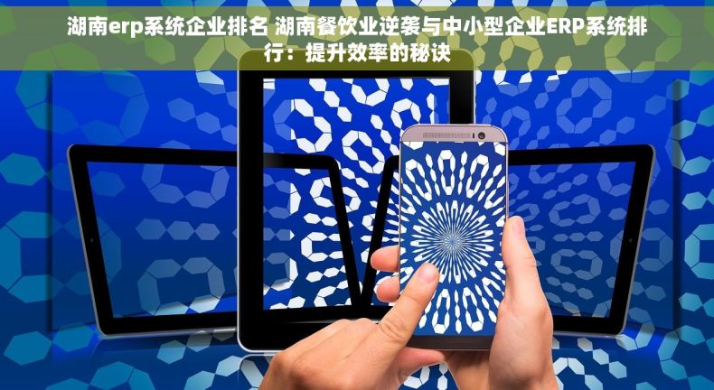湖南erp系统企业排名 湖南餐饮业逆袭与中小型企业ERP系统排行：提升效率的秘诀