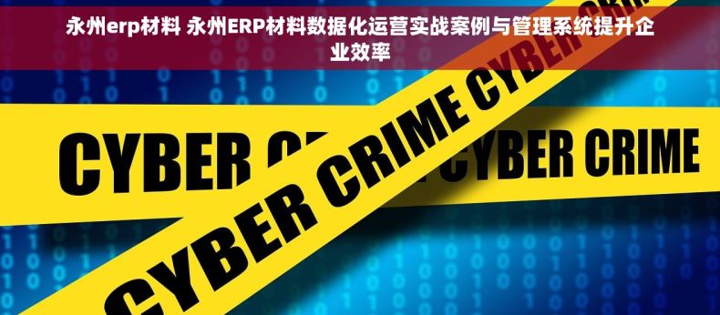 永州erp材料 永州ERP材料数据化运营实战案例与管理系统提升企业效率