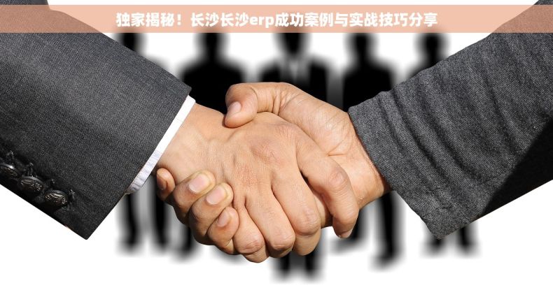 独家揭秘！长沙长沙erp成功案例与实战技巧分享