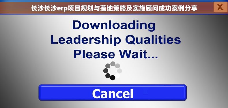 长沙长沙erp项目规划与落地策略及实施顾问成功案例分享