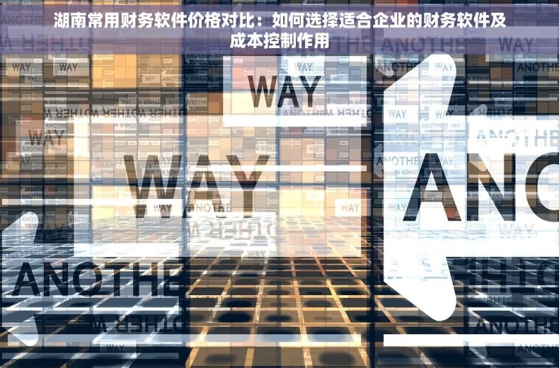 湖南常用财务软件价格对比：如何选择适合企业的财务软件及成本控制作用